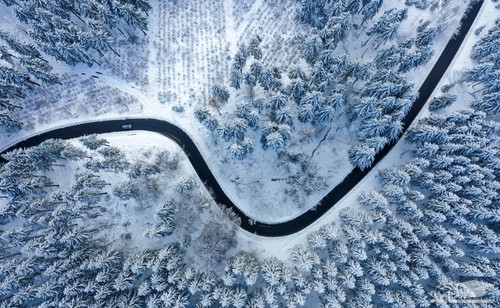 جاده جنگلی آلمان
