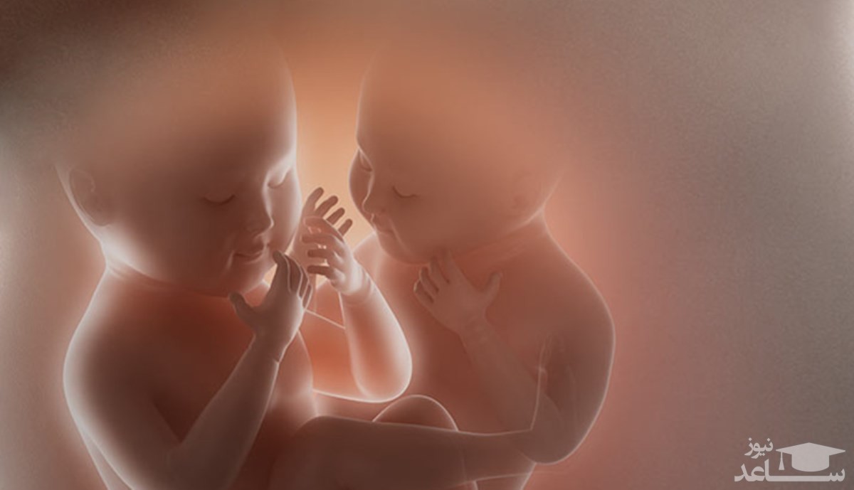آشنایی با مراحل بارداری برای دوقلو ها