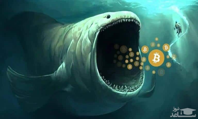 ردیابی نهنگ کریپتو و ابزارهای آن