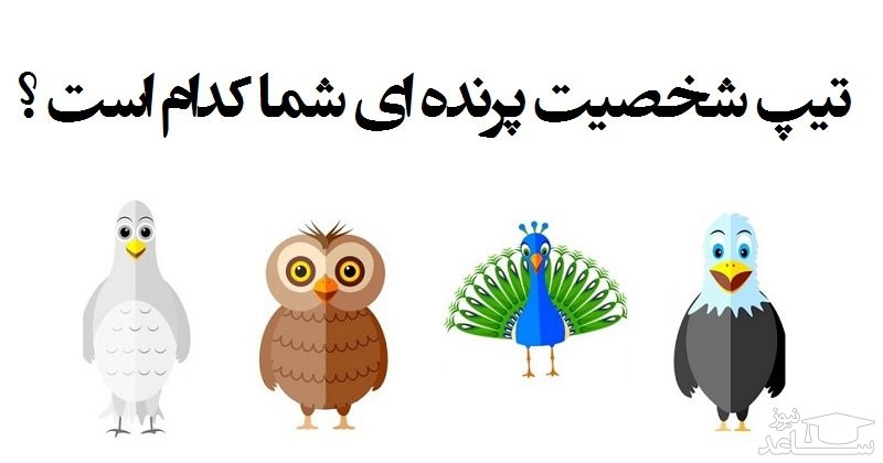 آشنایی با شخصیت شناسی پرندگان