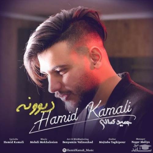 دانلود آهنگ دیوونه از حمید کمالی