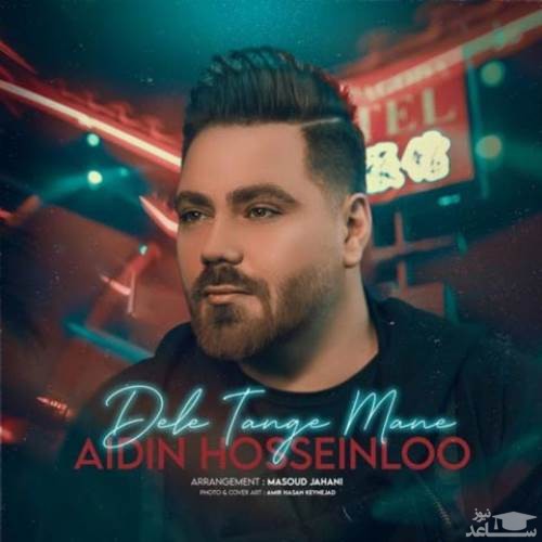 دانلود آهنگ دل تنگ منه از آیدین حسینلو
