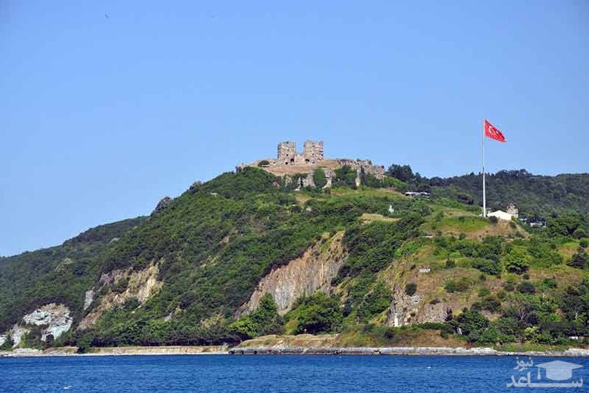 آنادولو کاوایی 