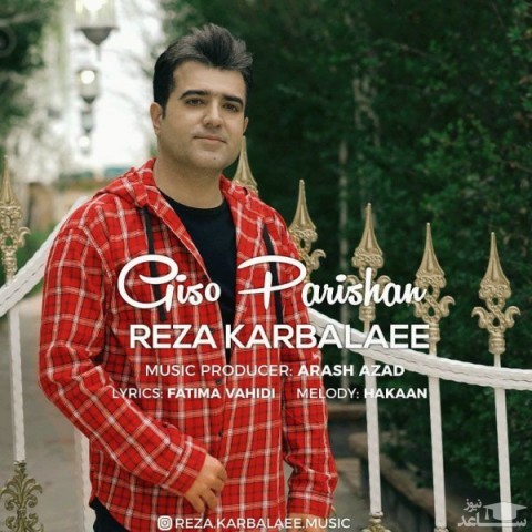 دانلود آهنگ گیسو پریشان از رضا کربلایی