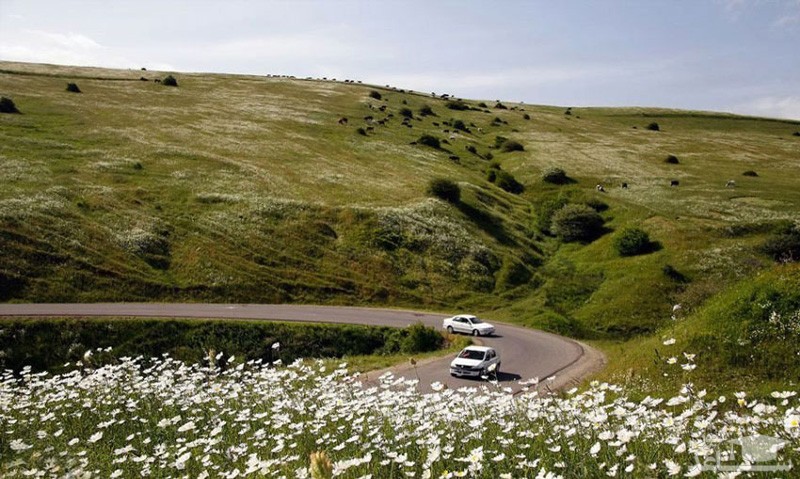 آشنایی با زیبای های جنگل فندقلو در اردبیل