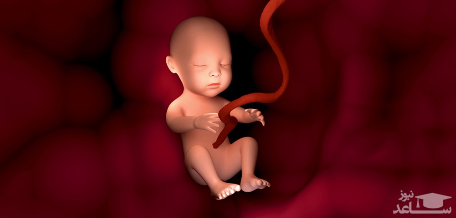 کاربرد و فواید ذخیره خون بند نوزاد