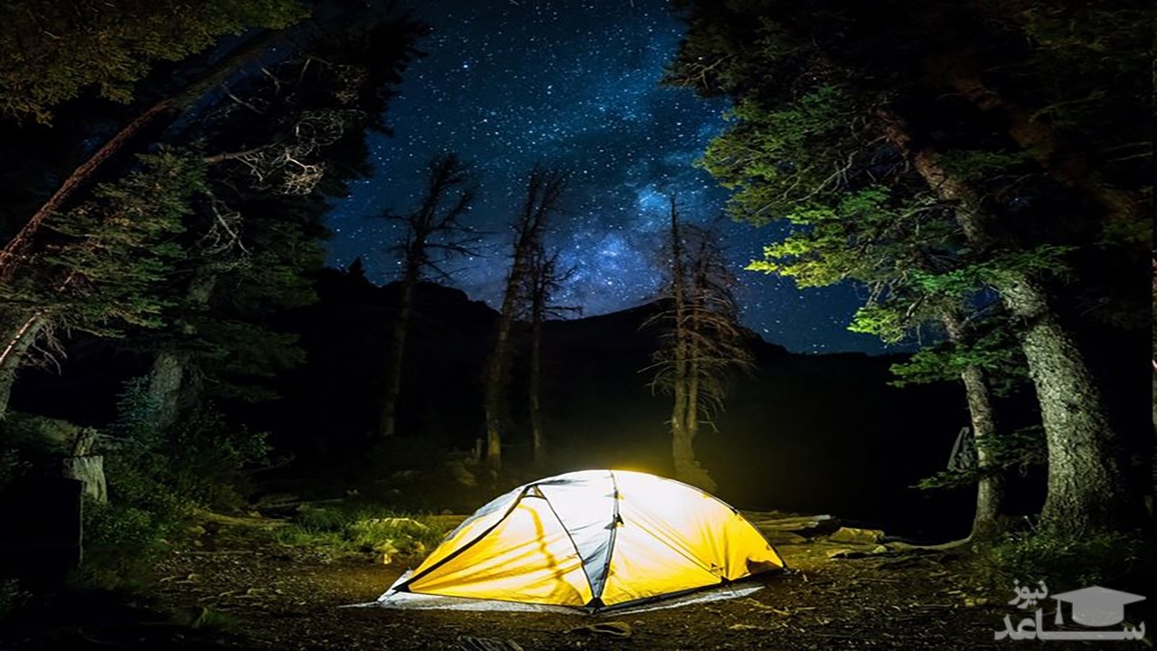 (فیلم) محاصره چادر گردشگر نگون‌بخت توسط شیرهای گرسنه