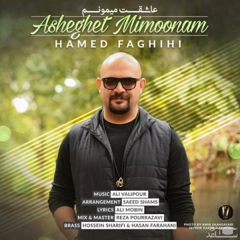 دانلود آهنگ عاشقت میمونم از حامد فقیهی