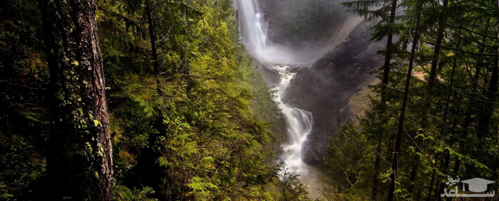 (فیلم) جام شیطان را بشناسید