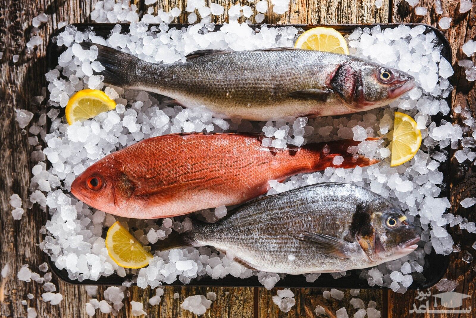 نحوه تشخیص ماهی مناسب در آشپزی و ارزش غذایی آن