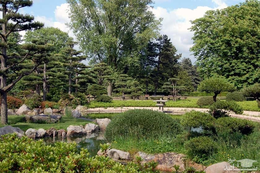 باغ ژاپنی نردپارک