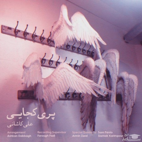 دانلود آهنگ پری کجایی از علی کاشانی