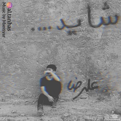 دانلود آهنگ شاید از علیرضا