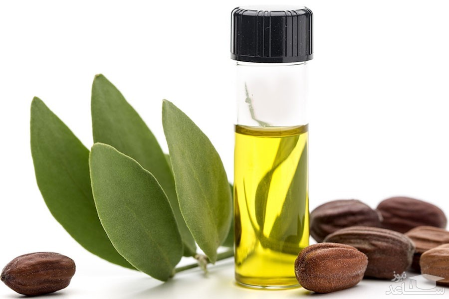 کاربرد روغن جوجوبا برای زیبایی مو