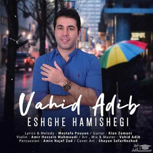 دانلود آهنگ عشق همیشگی از وحید ادیب