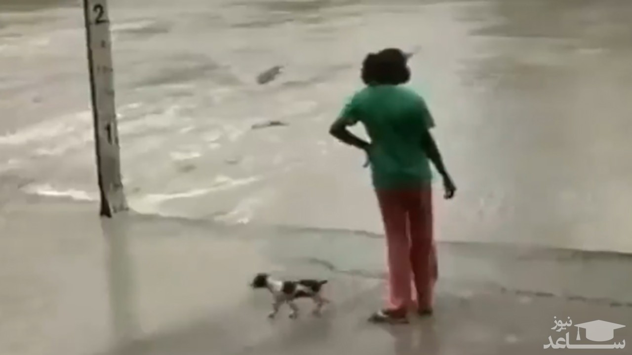 (فیلم) ترساندن و دور کردن تمساح توسط یک زن 