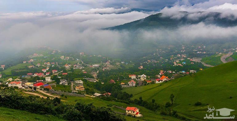 جنگل فندقلو