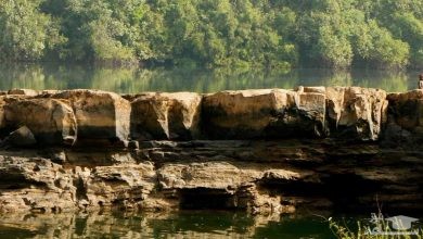 تپه مغناطیسی یا مگنتیک هیل