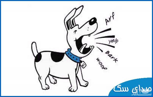 دانلود آهنگ سگ از افکت صوتی انسان و موجودات زنده