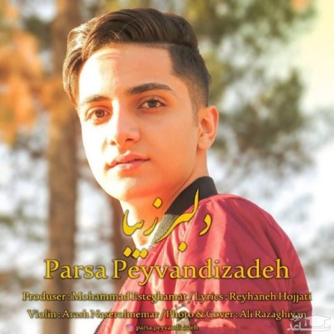 دانلود آهنگ دلبر زیبا از پارسا پیوندی زاده