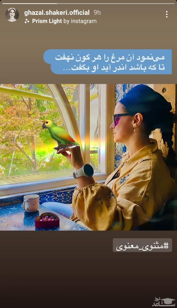 پوستر شاعرانه غزل شاکری