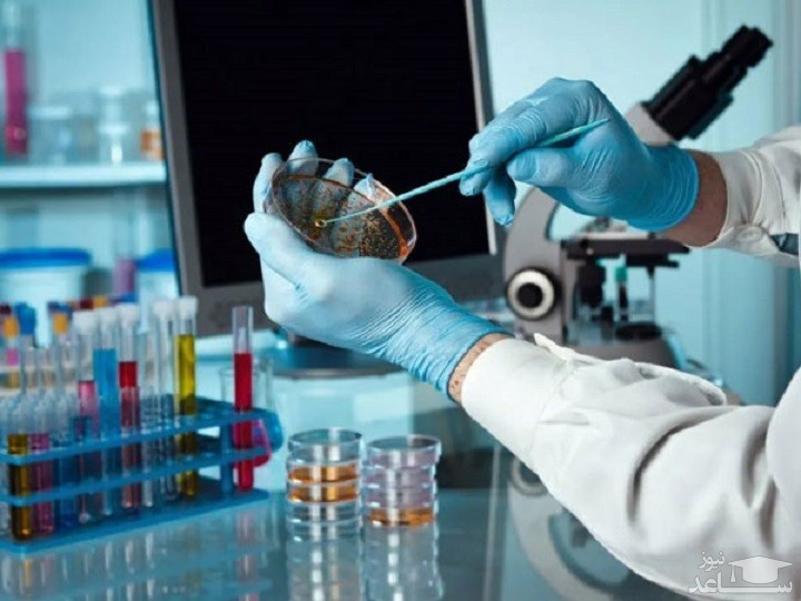 طرز تهیه انواع محیط کشت میکروبی و سلولی در آزمایشگاه