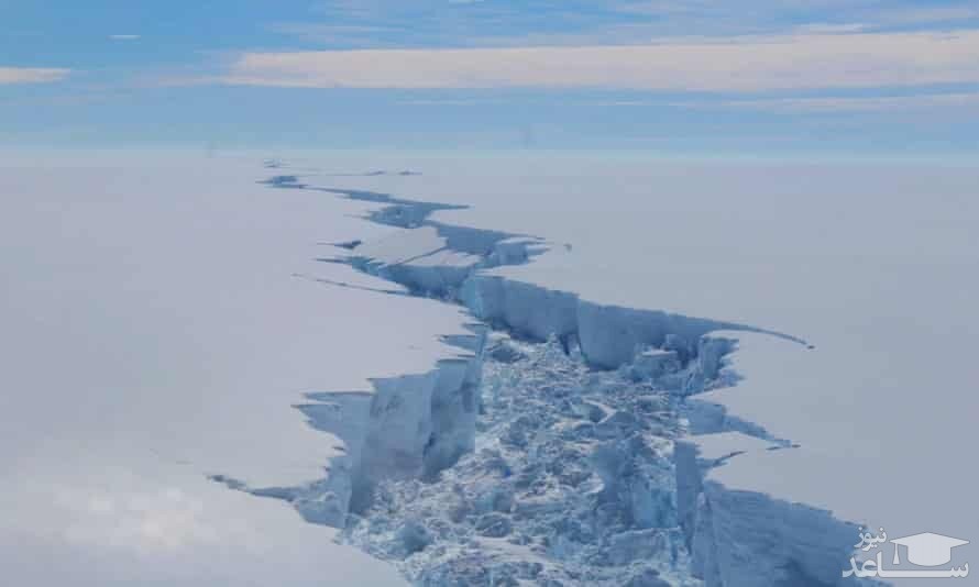 ویروس کرونا به قطب جنوب رسید