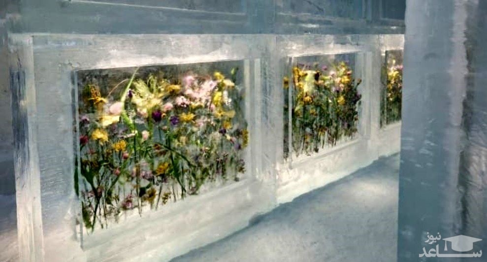 (تصاویر) سوئیت سلطنتی در هتل یخی سوئد