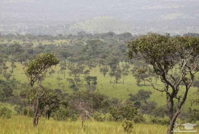 ذخایر طبیعت Bururi