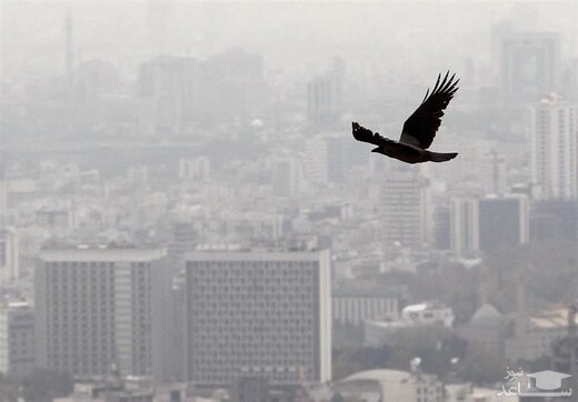 تعطیلی ۴۵ روزه چه تاثیری بر بازار مسکن گذاشت؟