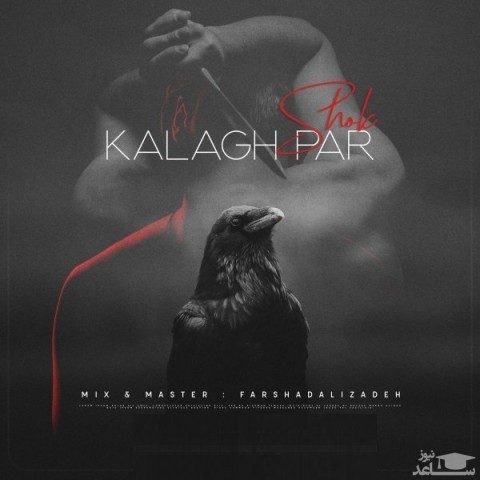 دانلود آهنگ کلاغ پر از شوک