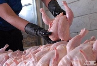 ماجرای تصویر یک مرغ که در فضای مجازی جنجال به پا کرد!