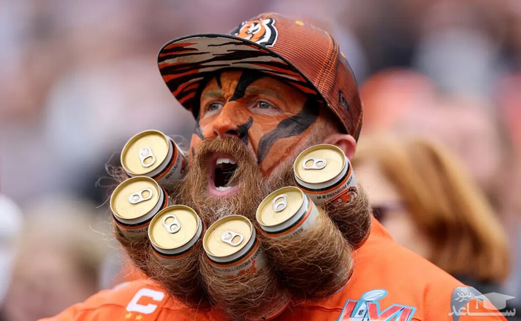 دیدنی های امروز دوشنبه 21 آذر 1401