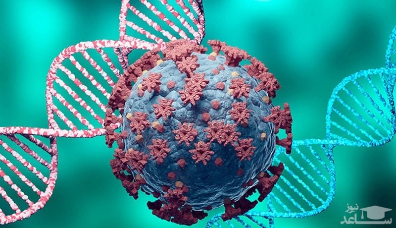 کشف ژن مرموزی که خطر کرونا را ۲ برابر می کند!