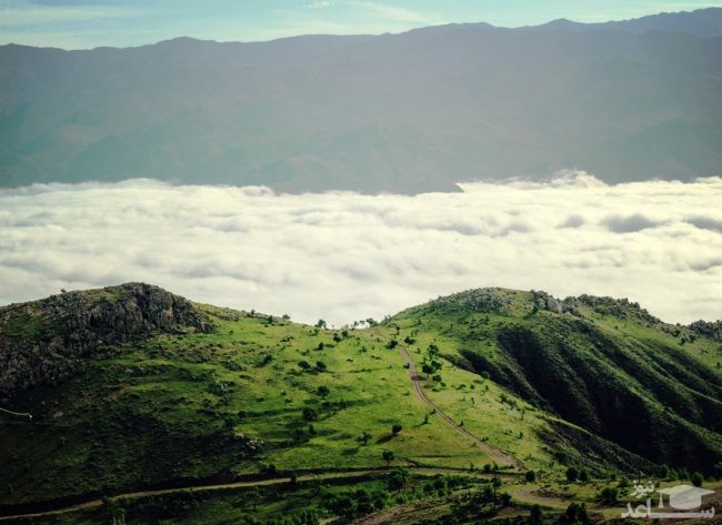 (فیلم) معرفی جاذبه های جنگل ابر شاهرود