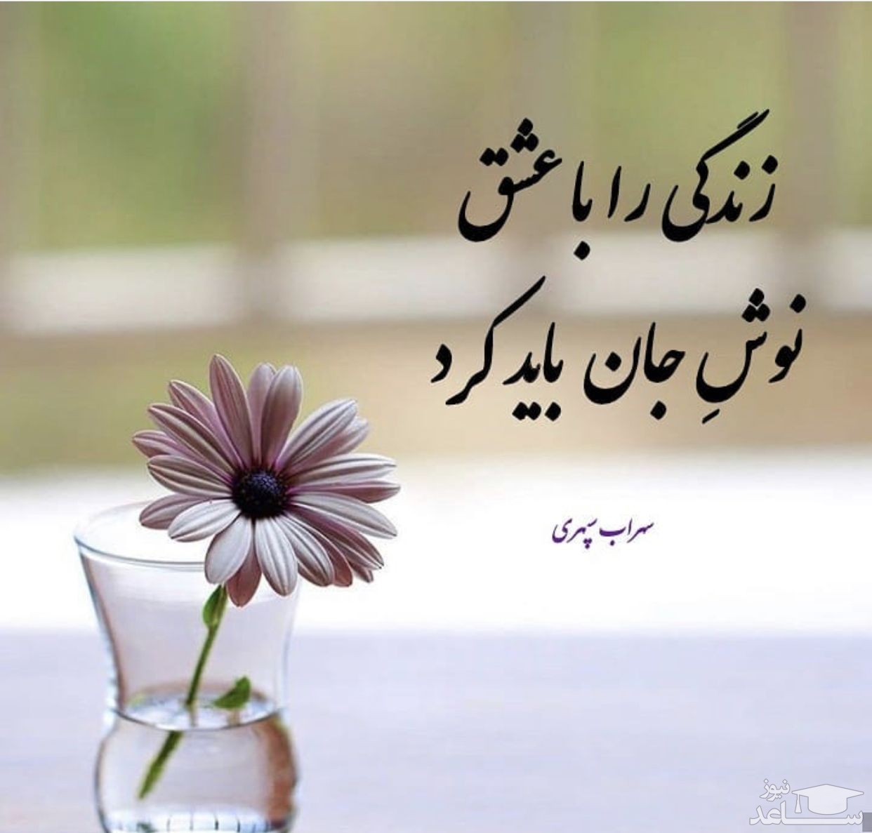 شعر در مورد زندگی