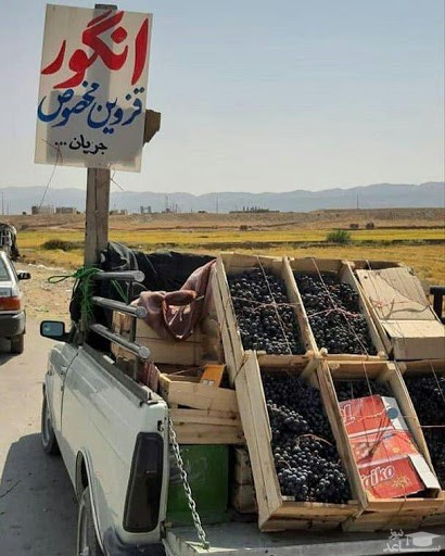 تصویر