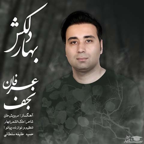 دانلود آهنگ بهار دلکش از عرفان نجف