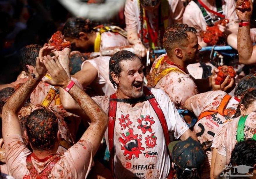 جشنواره جنگ با گوجه