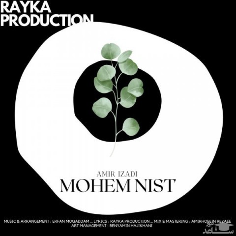 دانلود آهنگ مهم نیست از امیر ایزدی