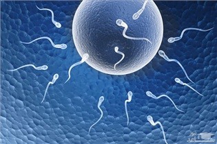 روش هایی برای افزایش امکان بارداری و حاملگی