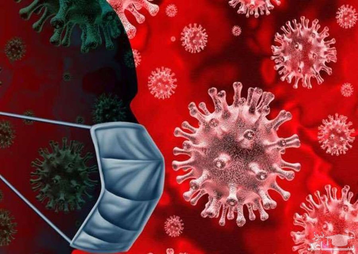 کشف یک ویروس کرونای جدید