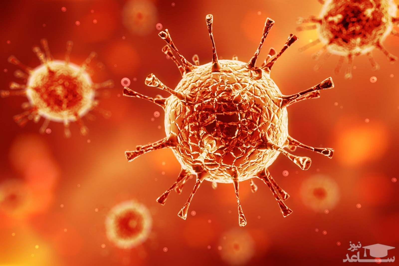 میزان، تاثیرات و مکانیزم اثر زیدوودین