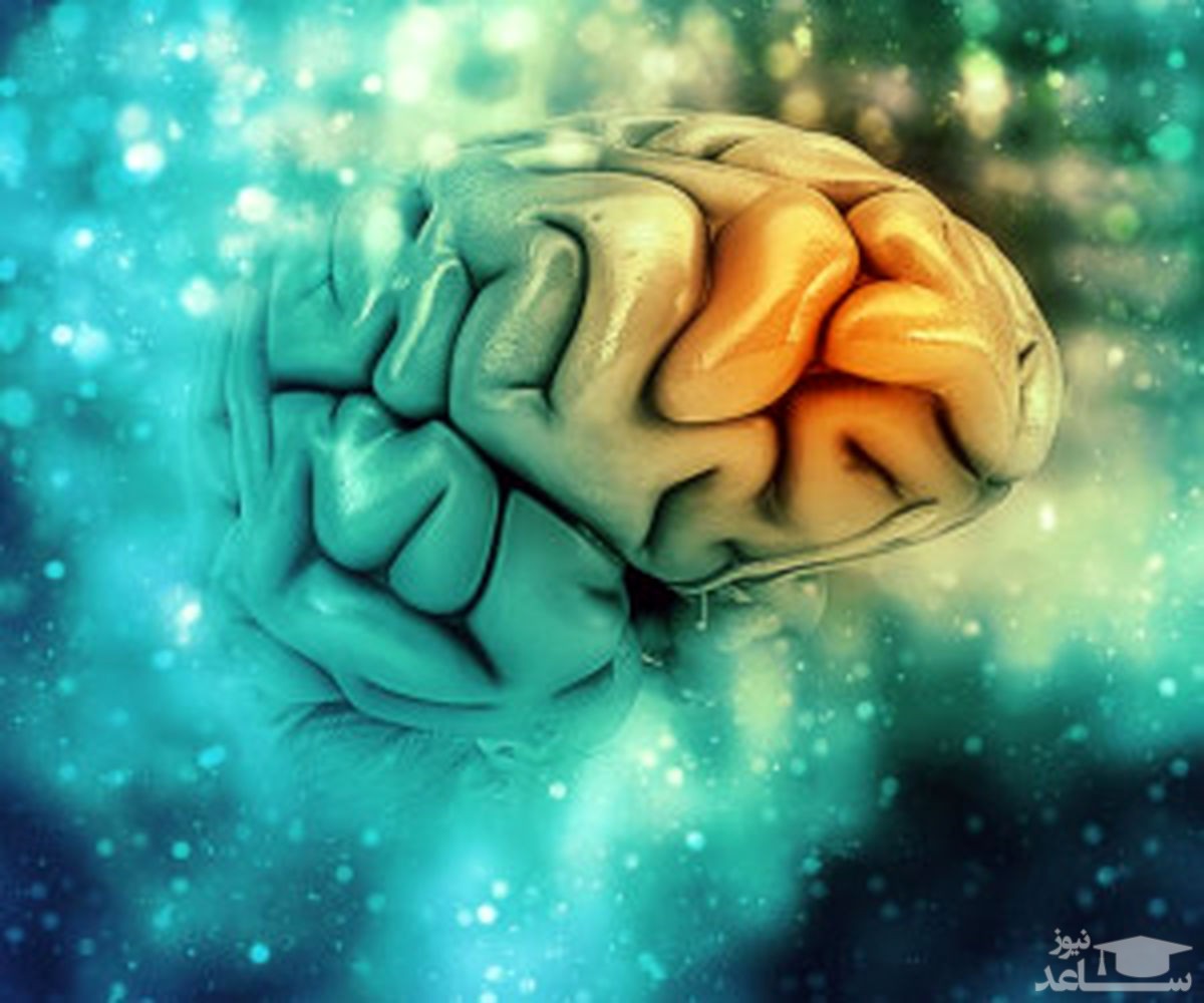 ارزیابی کارکرد مغز و میزان هوش با تست روانشناسی