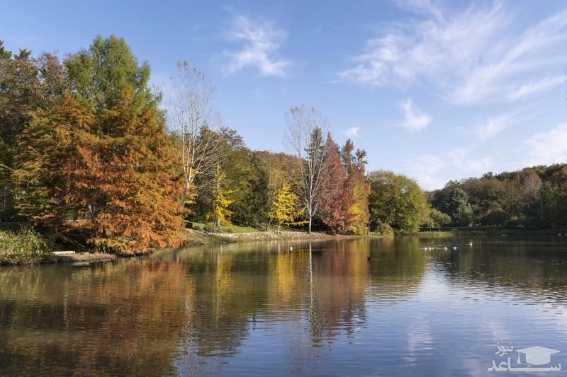 آشنایی با جنگل بلگراد در استانبول و زیبایی های آن