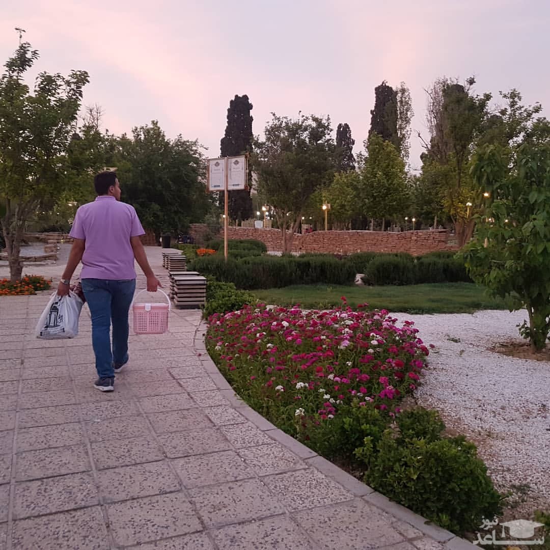 پارک بهمن تهران 