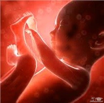 فیلمبرداری و تصویربرداری از سونوگرافی جنین