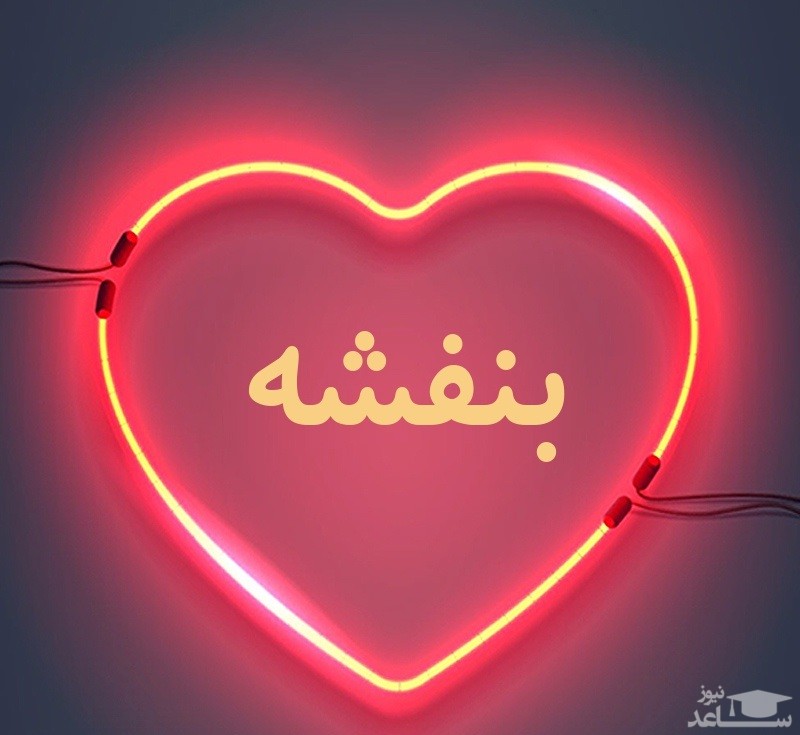زیباترین پیام های تبریک تولد برای بنفشه