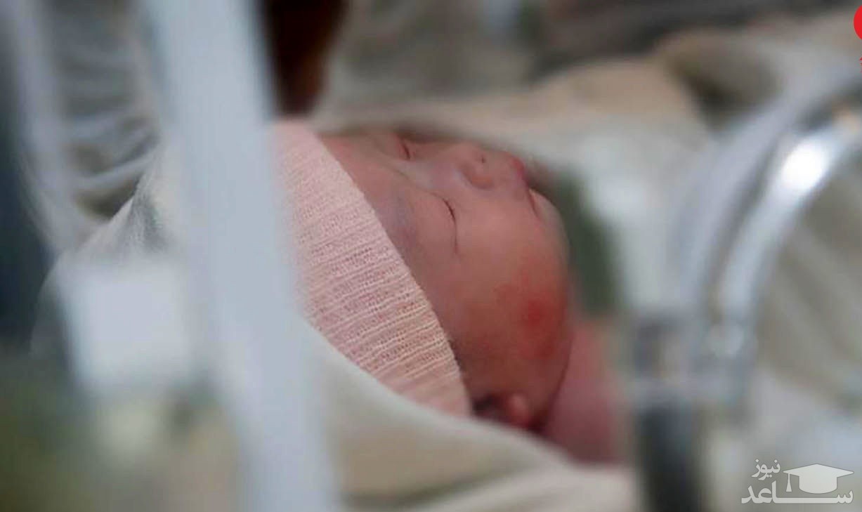 از لقاح تا به دنیا آمدن یک نوزاد ۲۷سال طول کشید