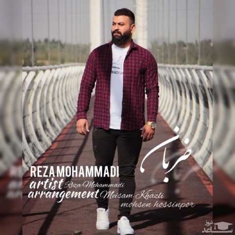 دانلود آهنگ ضربان از رضا محمدی